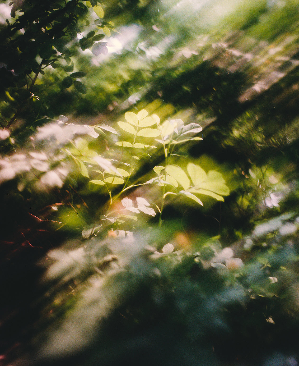 Just Another Blur