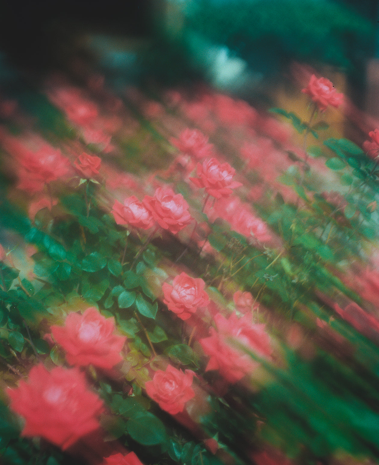 Just Another Blur