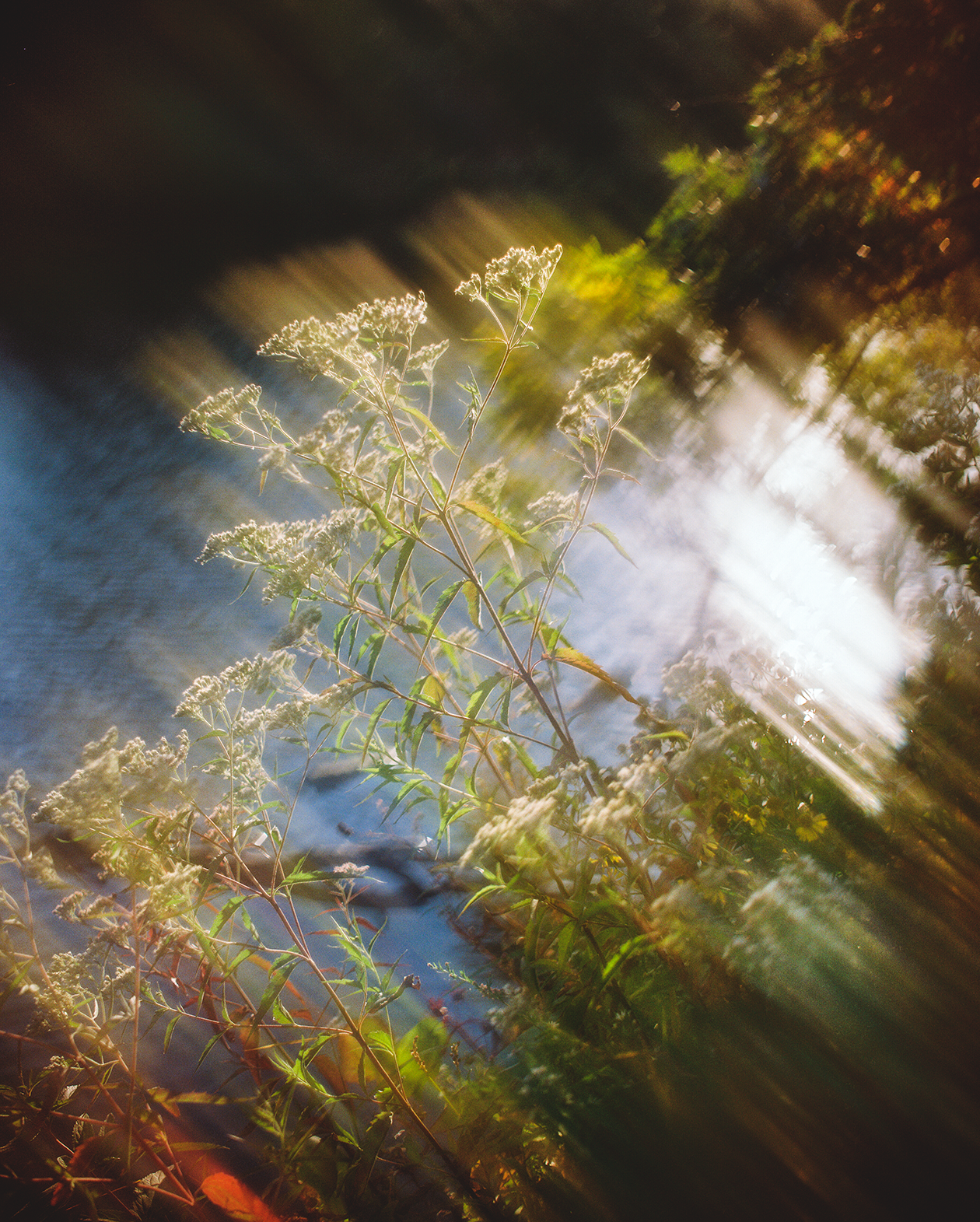 Just Another Blur