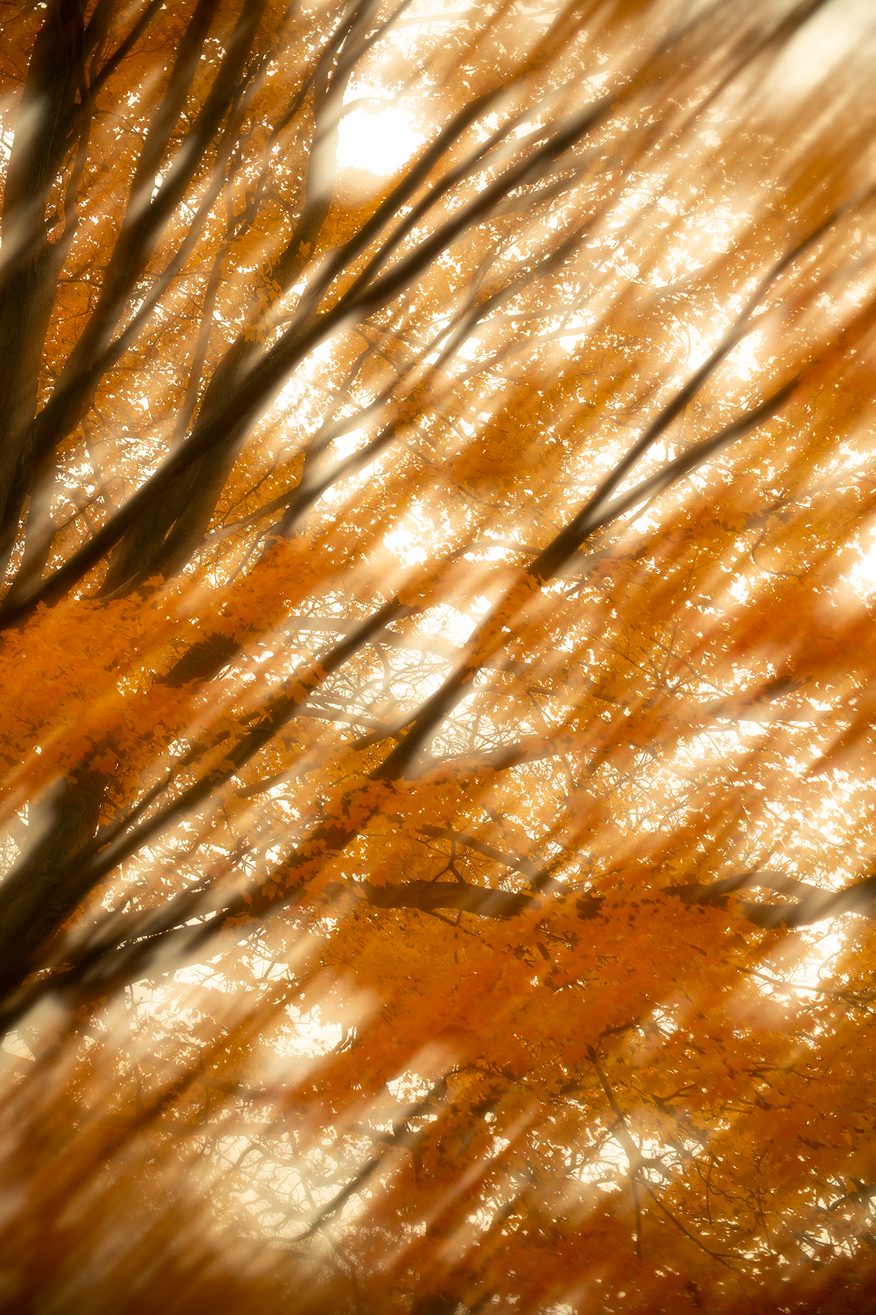 Just Another Blur