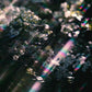 Shimmer