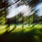 Just Another Blur