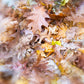Fuzzy (Pre-Order - Ships approx. 15 days from order date)
